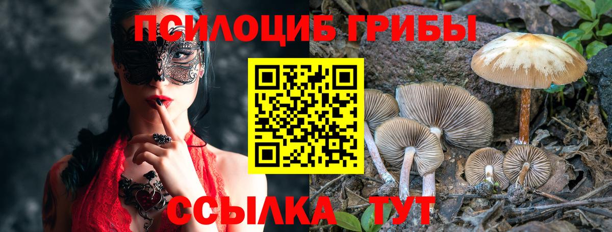 Галлюциногенные грибы GOLDEN TEACHER Оренбург