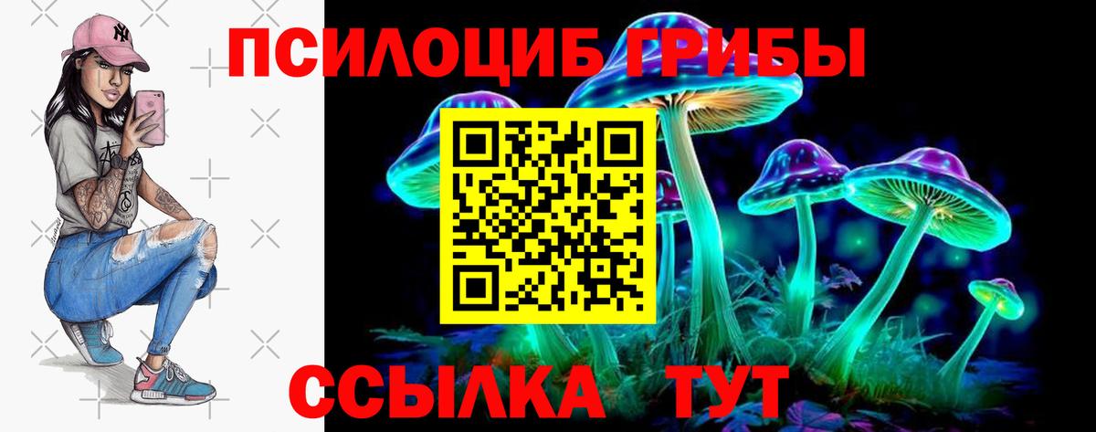 Оренбург  Галлюциногенные грибы Psilocybe  где купить наркоту  Вход с VPN 