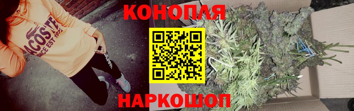 Оренбург  Конопля план  Шишки марихуана сатива  Вход с VPN  Конопля гибрид  Канабис марихуана 